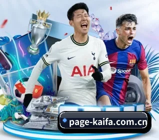 凯发娱乐平台 APP 界面